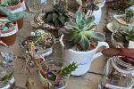 Sale Photo Thumbnail #13