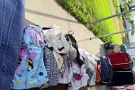 Sale Photo Thumbnail #15