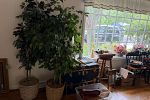 Sale Photo Thumbnail #35