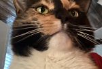 Sale Photo Thumbnail #32