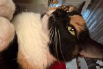 Sale Photo Thumbnail #43
