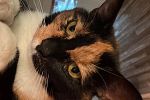 Sale Photo Thumbnail #52