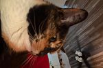 Sale Photo Thumbnail #140
