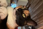 Sale Photo Thumbnail #159