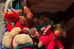 Sale Photo Thumbnail #13