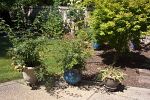 Sale Photo Thumbnail #115