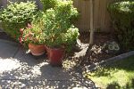 Sale Photo Thumbnail #114