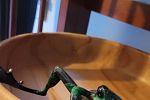 Sale Photo Thumbnail #23