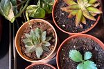 Sale Photo Thumbnail #13