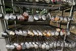Sale Photo Thumbnail #19
