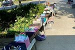 Sale Photo Thumbnail #4