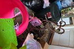 Sale Photo Thumbnail #23