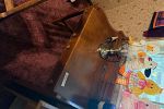 Sale Photo Thumbnail #5