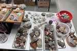 Sale Photo Thumbnail #45