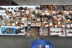 Sale Photo Thumbnail #47