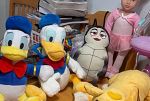 Sale Photo Thumbnail #81