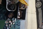 Sale Photo Thumbnail #22