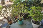 Sale Photo Thumbnail #64