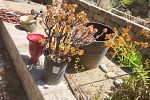 Sale Photo Thumbnail #143