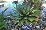 Sale Photo Thumbnail #146