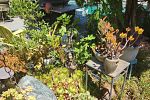 Sale Photo Thumbnail #140