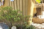 Sale Photo Thumbnail #149