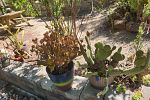 Sale Photo Thumbnail #128