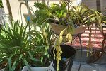 Sale Photo Thumbnail #116