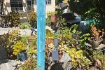 Sale Photo Thumbnail #135