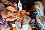 Sale Photo Thumbnail #282