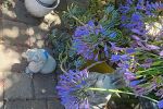 Sale Photo Thumbnail #145