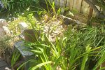 Sale Photo Thumbnail #147