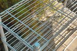Sale Photo Thumbnail #142