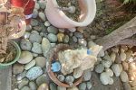 Sale Photo Thumbnail #115