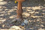 Sale Photo Thumbnail #156