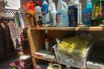 Sale Photo Thumbnail #113