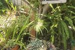 Sale Photo Thumbnail #146