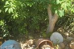 Sale Photo Thumbnail #139