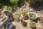 Sale Photo Thumbnail #136