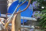 Sale Photo Thumbnail #153