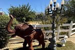 Sale Photo Thumbnail #32