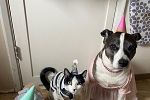 Sale Photo Thumbnail #17