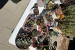 Sale Photo Thumbnail #17