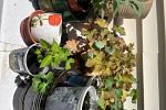 Sale Photo Thumbnail #3