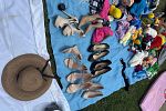 Sale Photo Thumbnail #6
