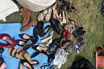 Sale Photo Thumbnail #9