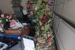 Sale Photo Thumbnail #10