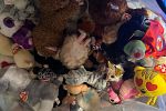 Sale Photo Thumbnail #10