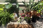Sale Photo Thumbnail #2