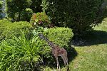 Sale Photo Thumbnail #41